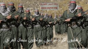 iranian_akrad_2378125