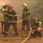 eu_walds_firing_67342657