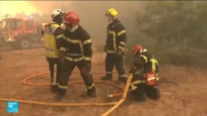 eu_walds_firing_67342657