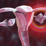 female_organgs_8796564