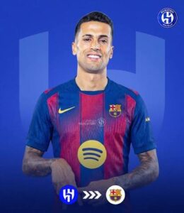 kanselo_678423
