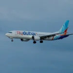 fly_dubi_89347234