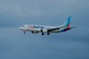 fly_dubi_89347234