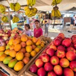 gaza_fruit_8943123